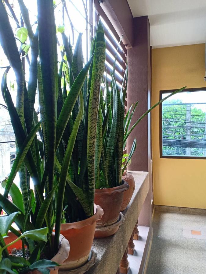Kookkai House Hostel Patong ภายนอก รูปภาพ